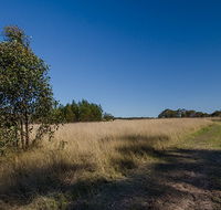 Scheyville horse riding trails - Accommodation Yamba