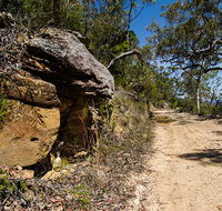 Canoelands Ridge walking track - Accommodation Yamba