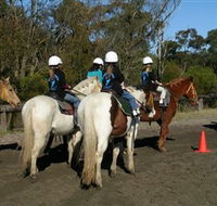 Darkes Forest Riding Ranch - Accommodation Yamba