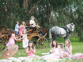 Classic Carriage Drives - Accommodation Yamba 1