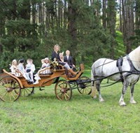 Classic Carriage Drives - Accommodation Yamba
