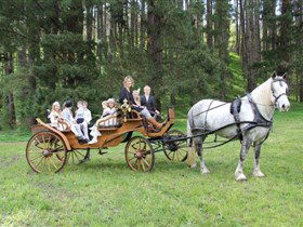 Classic Carriage Drives - Accommodation Yamba 0