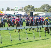 Morphettville Racecourse - Accommodation Yamba
