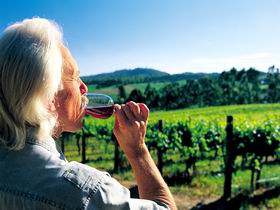 Ashton Hills Vineyard - Accommodation Yamba 0