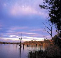 Loch Luna Game Reserve and Moorook Game Reserve - Accommodation Yamba