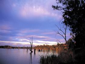 Loch Luna Game Reserve And Moorook Game Reserve - Accommodation Yamba 0
