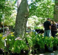 The Stirling Market - Accommodation Yamba