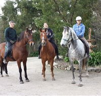 Academy of Dressage - Accommodation Yamba