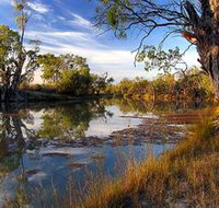 Murray River National Park - Accommodation Yamba