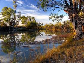 Murray River National Park - Accommodation Yamba 0