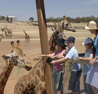 Monarto Open Range Zoo - Accommodation Yamba