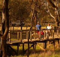 Loxton's Drives Walks and Trails - Accommodation Yamba