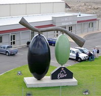 The Big Olive - Accommodation Yamba