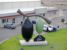 The Big Olive - Accommodation Yamba 0