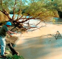 Charleville - Ward River Fishing Spot - Accommodation Yamba