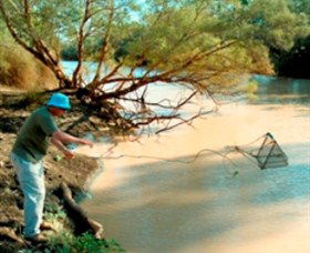 Charleville - Ward River Fishing Spot - Accommodation Yamba 0