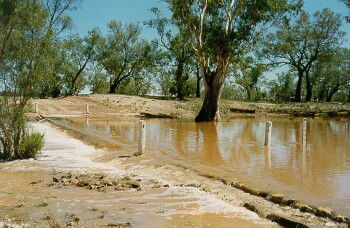 Charleville - Ward River Fishing Spot - Accommodation Yamba 2