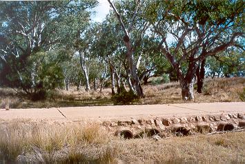 Charleville - Ward River Fishing Spot - Accommodation Yamba 1