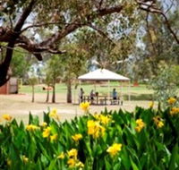 Charleville - Graham Andrews Parklands - Accommodation Yamba
