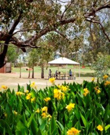 Charleville - Graham Andrews Parklands - Accommodation Yamba 0