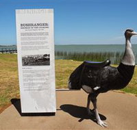 Birdman of the Coorong - Accommodation Yamba