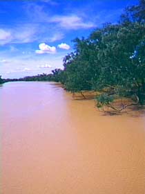 Warrego River - Accommodation Yamba 0