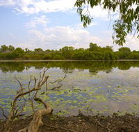 Yurmikmik Walks - Accommodation Yamba