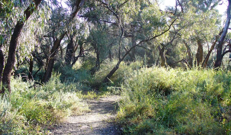 Roto NSW Accommodation Yamba