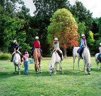 Limestone Coast Horseriding - Accommodation Yamba