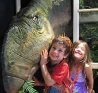 Australian Opal Centre - Accommodation Yamba