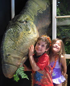 Australian Opal Centre - Accommodation Yamba 0