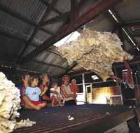 Shear Outback the Australian Shearers Hall of Fame - Accommodation Yamba