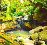Carnarvon Gorge Carnarvon National Park - Accommodation Yamba