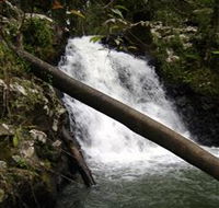 Souita Falls - Accommodation Yamba