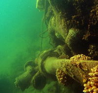 Wreck Diving at Magnetic Island - Accommodation Yamba