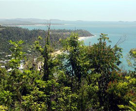 Clump Mountain National Park - Accommodation Yamba 1