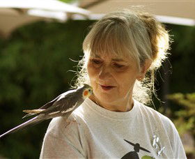 Yando ACT Accommodation Yamba