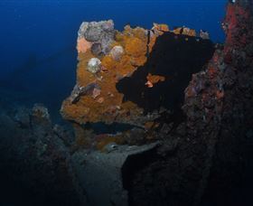 Lady Bowen Dive Site - Accommodation Yamba 0