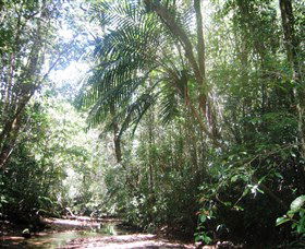 Julatten QLD Accommodation Yamba
