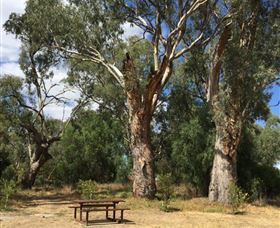 Bob Christensen Reserve - Accommodation Yamba 2