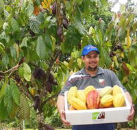 Sweet Farm Tours - Accommodation Yamba