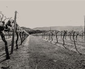 Halls Gap Estate - Accommodation Yamba 0