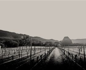 Halls Gap Estate - Accommodation Yamba 1