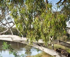 Beach To Beach Riverside Walk - Accommodation Yamba 6