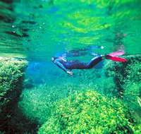 Piccaninnie Ponds Conservation Park - Accommodation Yamba