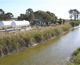 Cornalla Farm Tour - Accommodation Yamba 0