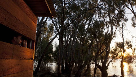 Murray Valley National Park - Accommodation Yamba 1