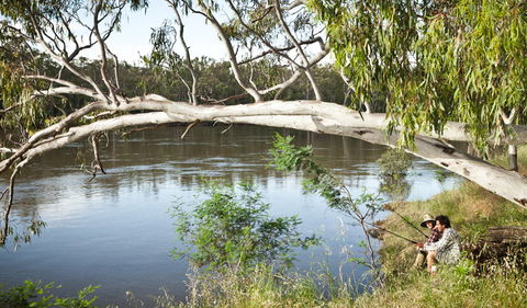 Murray Valley National Park - Accommodation Yamba 0