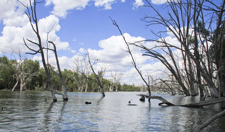  Accommodation Yamba