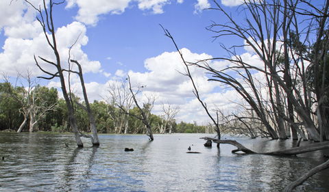 Murrumbidgee Valley National Park - Accommodation Yamba 0